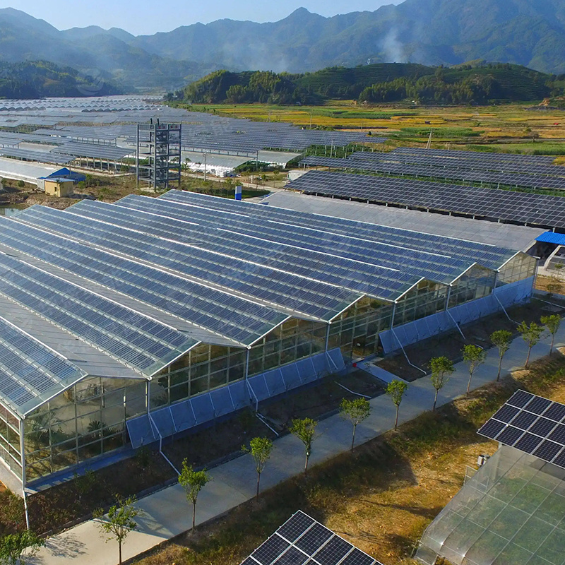 Great Value Pc Board Photovoltaic Greenhouse With Hydroponic System Mushroom Growing Equipments Agriculture Equipment And Tools