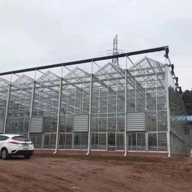 full automatic commercial venlo glass greenhouse used for flower vegetable