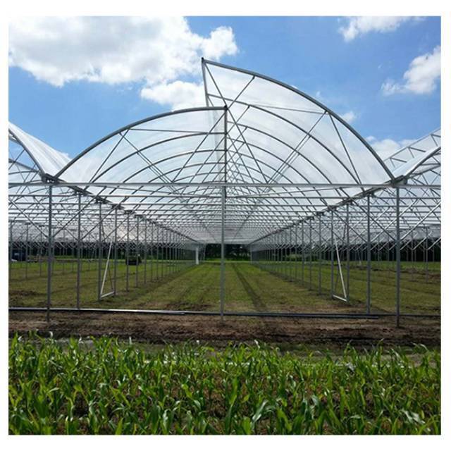 Factory Wholesale Agricultural tunnel Greenhouse High Quality Crop Greenhouse