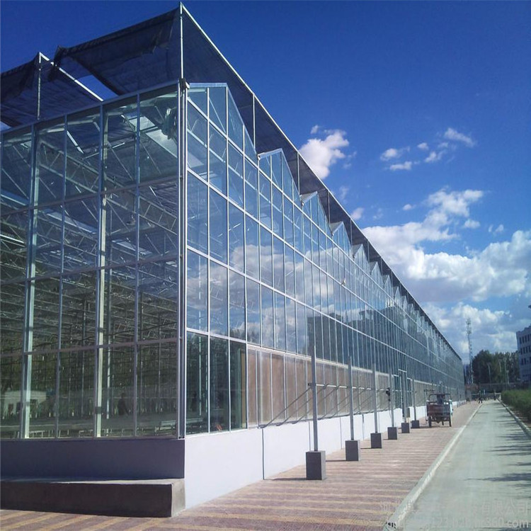 full automatic commercial venlo glass greenhouse used for flower vegetable