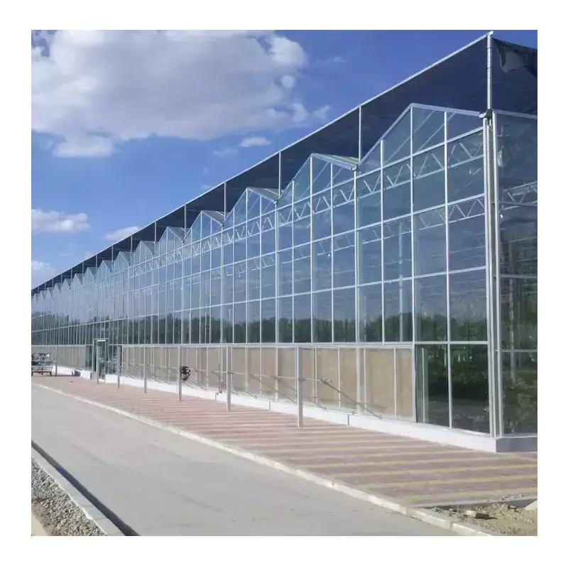 Galvanized steel structure used commercial venlo glass greenhouses for plant growth