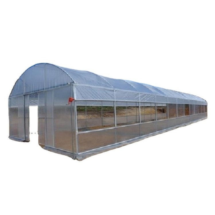 Hydroponic Growing Systems Plastic House Aquaponics Used Greenhouse Film For Sale Netpot Multi-span Greenhouse