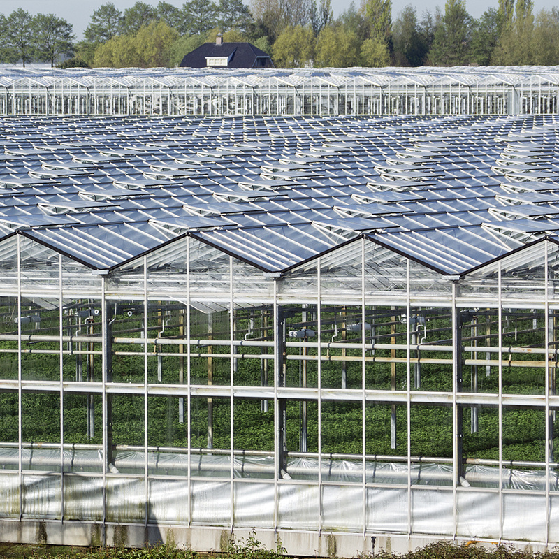 Great Value Pc Board Photovoltaic Greenhouse With Hydroponic System Mushroom Growing Equipments Agriculture Equipment And Tools