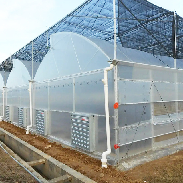 Factory Wholesale Agricultural tunnel Greenhouse High Quality Crop Greenhouse