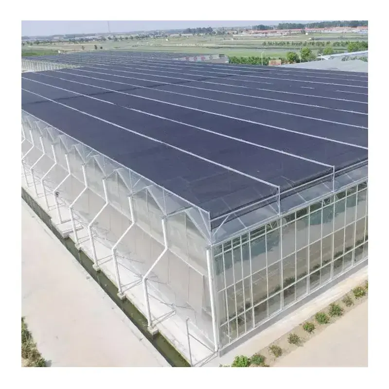 Automated Automatic Agriculture Building Commercial Farming Polycarbonate Film Climate Controlled Tomato Greenhouse