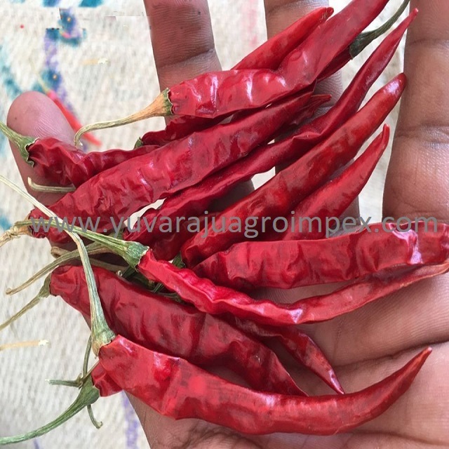 Wonderful quality red teja chilli available to  Bulk selling  price from  Indian Exporters to Fur Zealand  Hans Showa