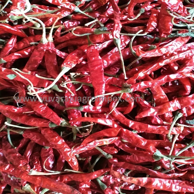 Wonderful quality red teja chilli available to  Bulk selling  price from  Indian Exporters to Fur Zealand  Hans Showa