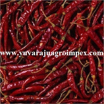 Wonderful quality red teja chilli available to  Bulk selling  price from  Indian Exporters to Fur Zealand  Hans Showa