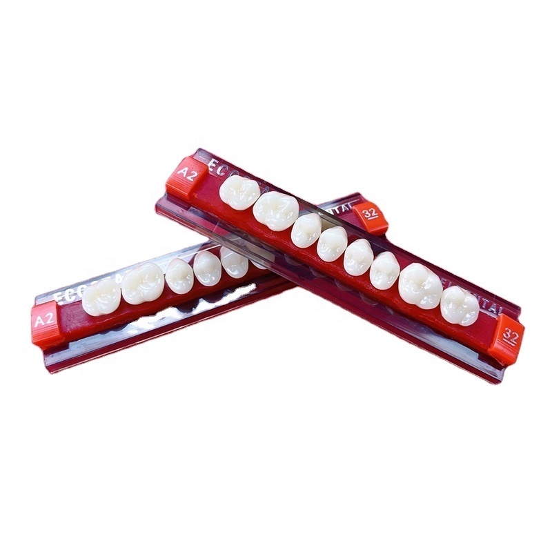 Shanghai yuwei High Quality two Layers Full Denture Acrylic Resin teeth Practical False Teet