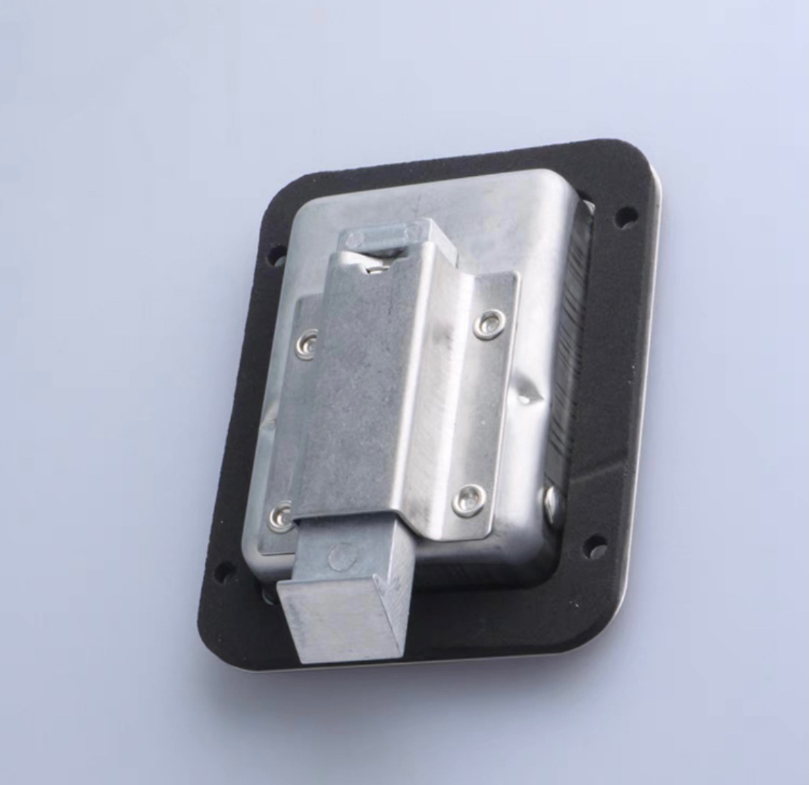 304 Stainless Steel Tool Box Cannopy Door Latch Truck Paddle Lock