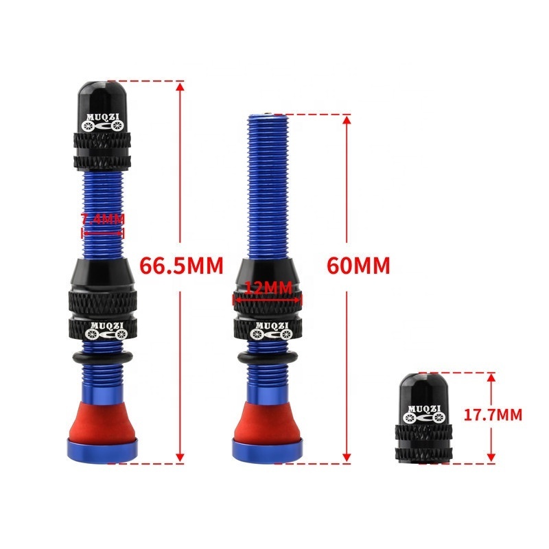 Factory Direct Sale Cheap Bike Tubeless Schrader Valve Stem MTB Road Bicycle Tubeless Rim Accessories 60mm Bicycle Valve