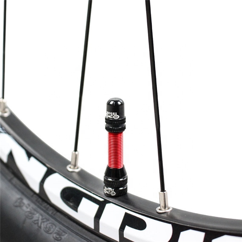 Factory Direct Sale Cheap Bike Tubeless Schrader Valve Stem MTB Road Bicycle Tubeless Rim Accessories 60mm Bicycle Valve