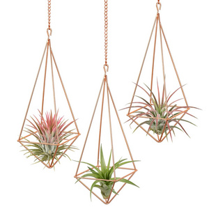 Modern Rustic Art Style Hanging Air Plant Holder Himmeli Geometric Planter Metal Airplant Rack Tillandsia Hanger with Chain