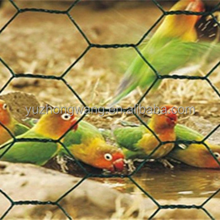 Galvanized chicken wire/avery hex netting/poultry wire fence ( Anping factory )