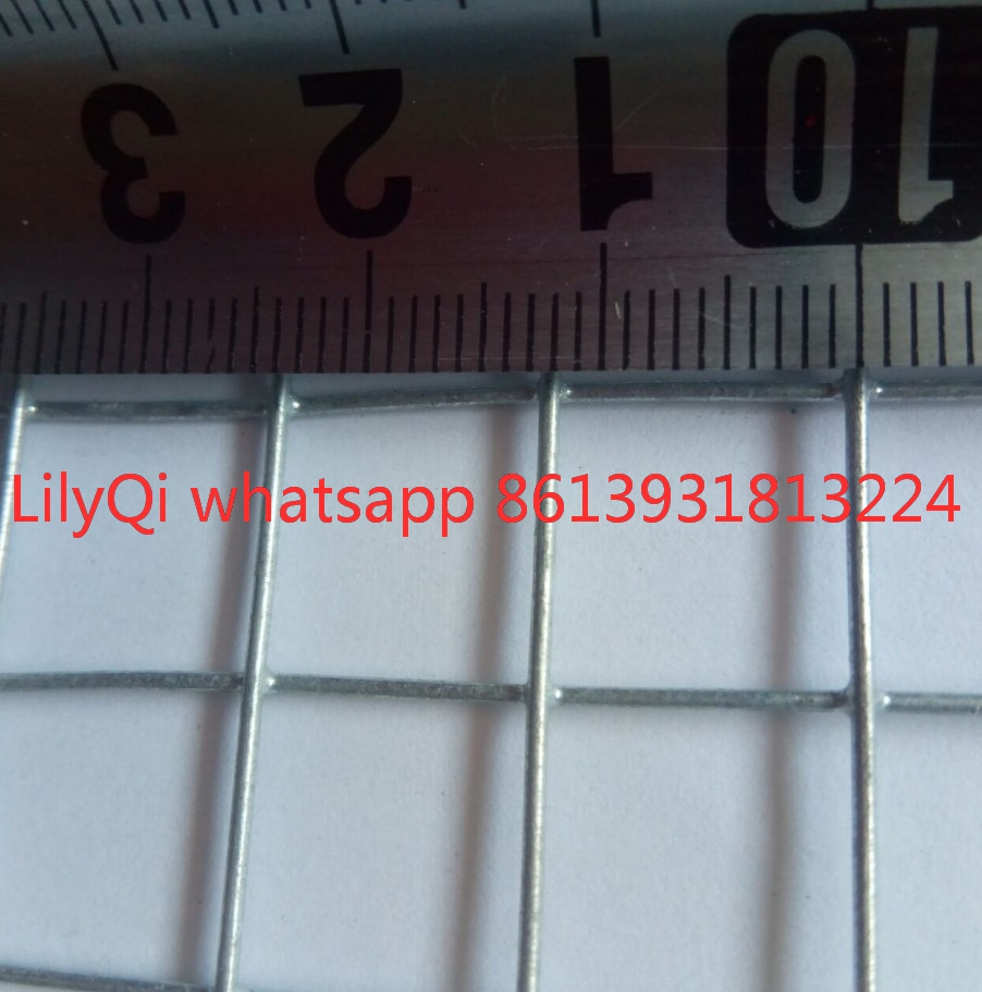 2.5 gauge galvanized welded wire mesh epoxy coated for cage pet mesh wire stock