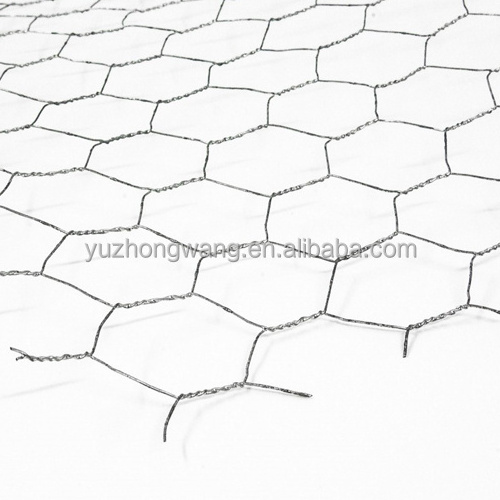 Galvanized chicken wire/avery hex netting/poultry wire fence ( Anping factory )