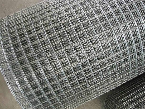 Bird cage welded wire mesh panel (Anping factory, 22 years )