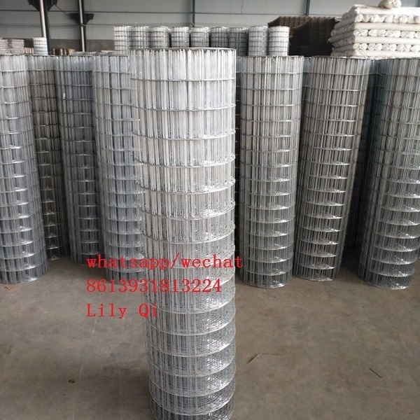 Stainless Steel 304 / 316/ 316L Welded Wire Mesh 3mm wire diameter ,hole size 50x50mm iron wire mesh factory