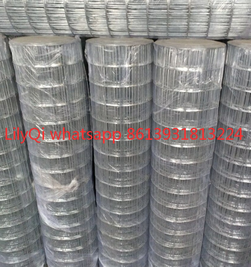 2.5 gauge galvanized welded wire mesh epoxy coated for cage pet mesh wire stock