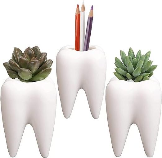 Succulent Plant Pots Cute Tooth Shape White Ceramic Planter Cactus Plant Pot Creative Pen Pencil Holder