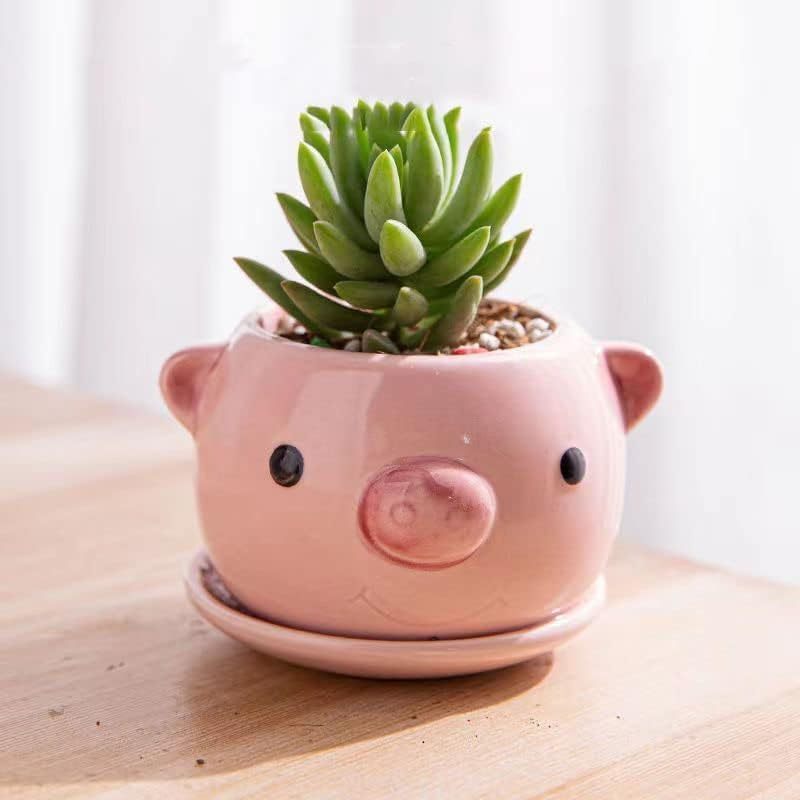 Unique Ceramic Flower Pots with Saucer Handmade Porcelain Animal Cartoon Pattern Planters