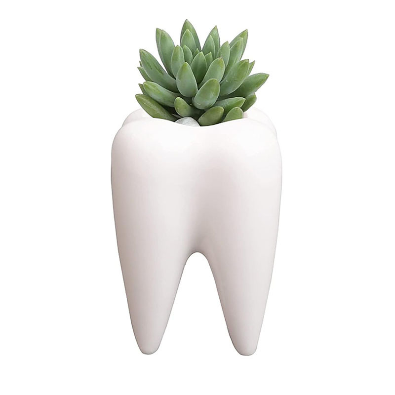 Succulent Plant Pots Cute Tooth Shape White Ceramic Planter Cactus Plant Pot Creative Pen Pencil Holder