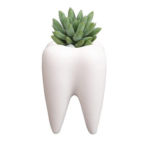 Succulent Plant Pots Cute Tooth Shape White Ceramic Planter Cactus Plant Pot Creative Pen Pencil Holder