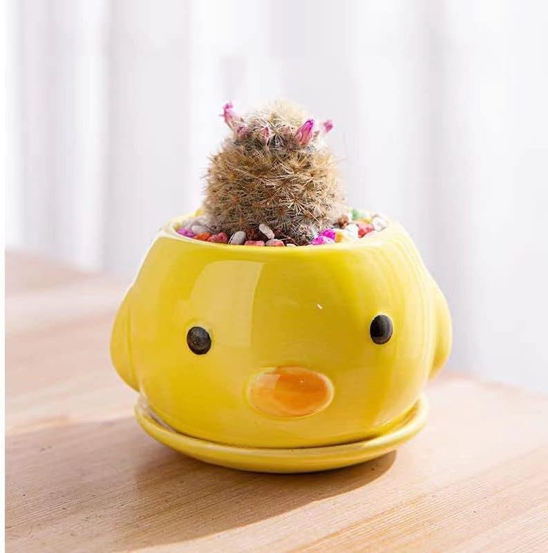 Unique Ceramic Flower Pots with Saucer Handmade Porcelain Animal Cartoon Pattern Planters