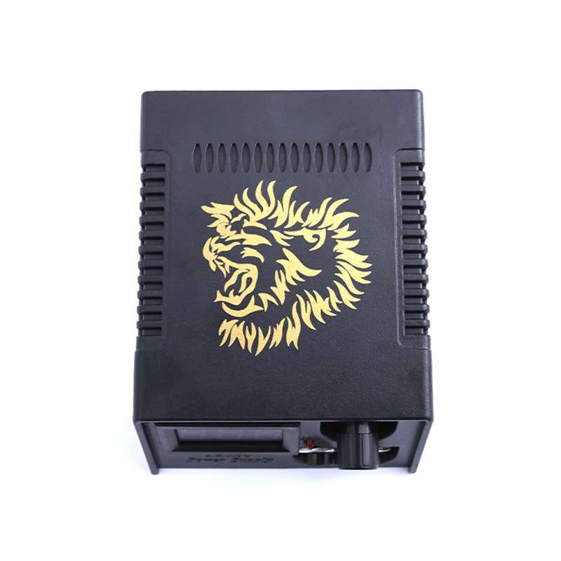 2021 New Lion picture tattoo DC power supply 2A plastic tattoo rotary  machine power