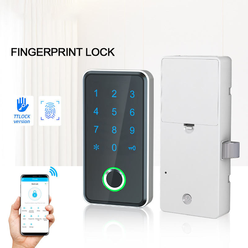 Baoxin Factory Drawer Fingerprint Cabinet Biometric Fingerprint Rim Smart Gate Lock For Door Handle Keyless Lock Password