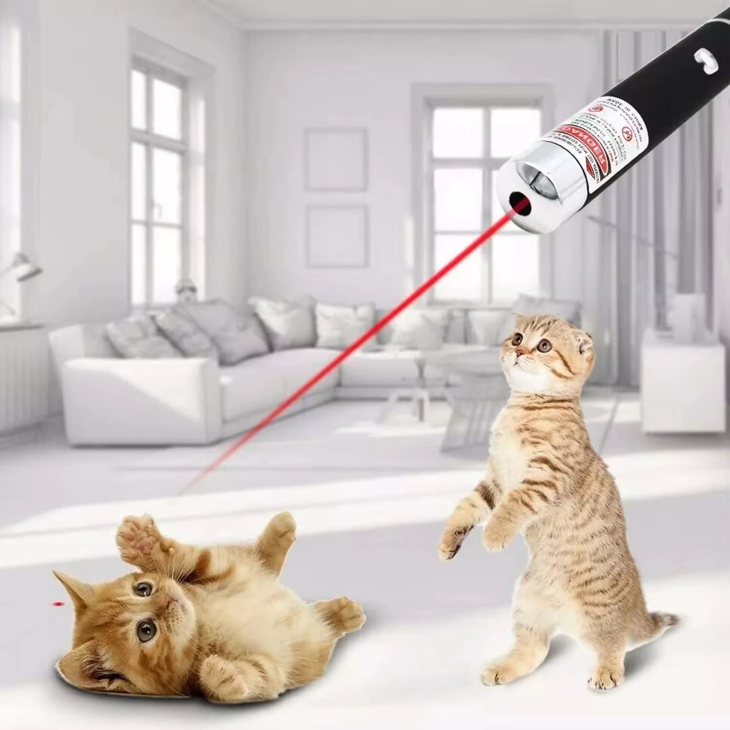 Laser Pointer Red Blue Green Star Cat Toy Flashlight Long Range Beam Powerful Green Blue Red Laser Pointer Dog Toy