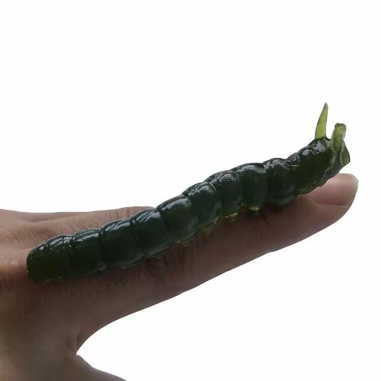 Simulation caterpillar reptile insect animal tpr soft glue plastic toy Gift Gift vegetable worm green worm