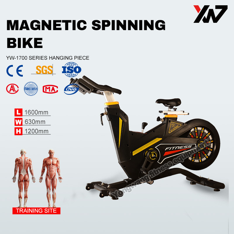 popular stylish and quality dynamic exercise bike magnetic body building bicycle