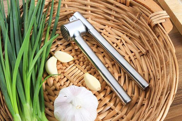 304 Stainless steel garlic peeling machine press rocker crusher and mincer garlic press