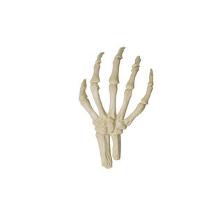 Halloween Skeleton Hand Dummy Hand Bone Zombie Party Horror Prop Decoration