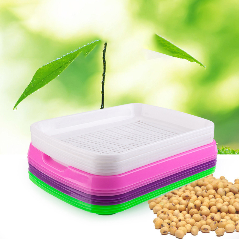 ZY59 Wholesale Square Double Layer Seedling Tray Germination Sprout Vegetable Wheatgrass Seedling planting  Tray