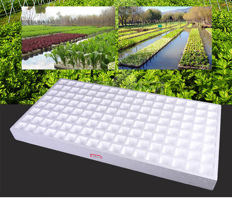 DD065  136 162 200 392 Cells Plant Seedling Tray Medicine Vegetables Flower Hole Growing Obacco Floating Foam Nursery Trays