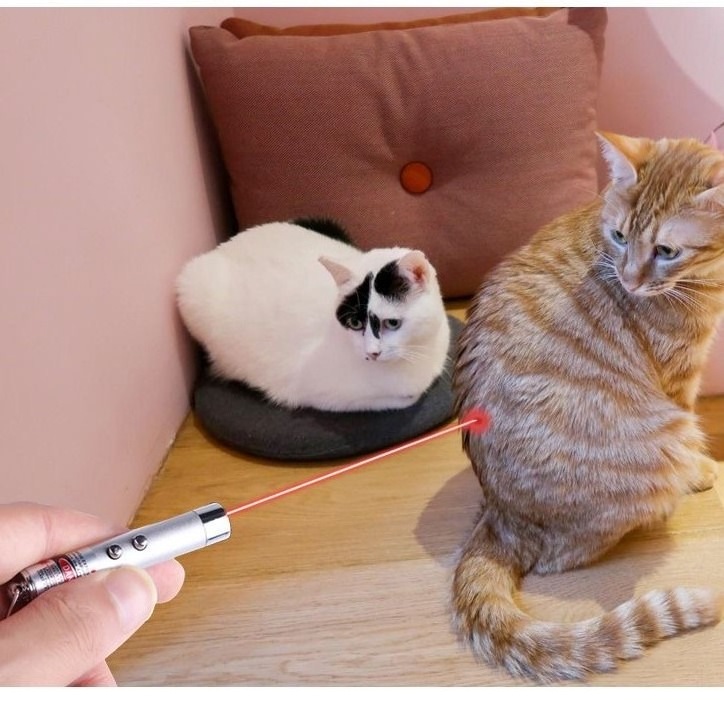 Factory direct sale Cat Interactive Toy LED Light Torch Laser Pointer Infrared Laser Cat Laser Toy