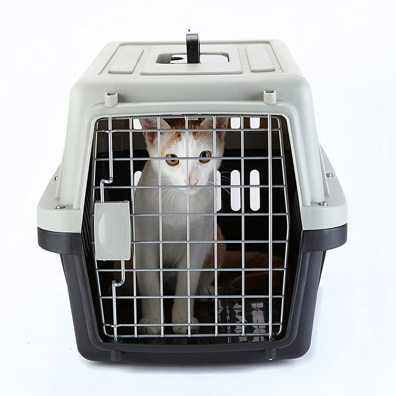 Easy Use Pet Accessories Plastic Pet Carrier Dog Travel Cage Portable Plastic for Airline Travel M Backpacks Carton Box Ningbo