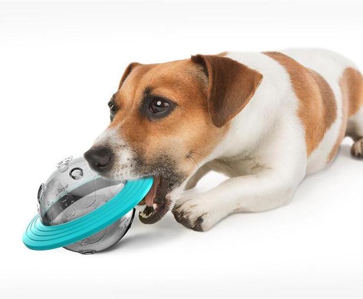 Wholesale Rubber Hot Selling Pet eating Toys Pet Eating Slow Bowl Silicone Dog Food Bowl Feeder