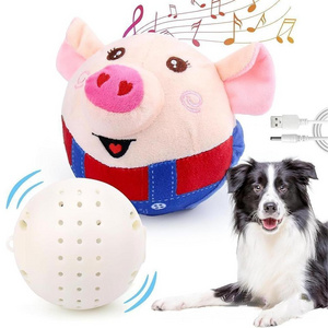 Explosive sound plush jumping ball pet toy cat dog interactive play remote control with recording plush toy