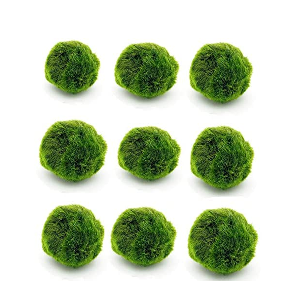 QSHLHP-948 hot sale artificial green marimo moss ceiling ball for indoor decor