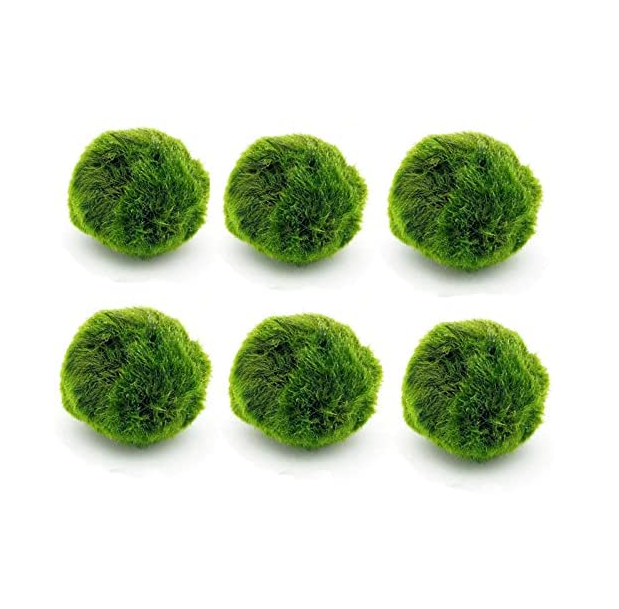 QSHLHP-948 hot sale artificial green marimo moss ceiling ball for indoor decor