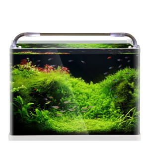 Led Light Fish Tank Aquarium Decoration Ecological Mini Full Live Fish Tub Glass Box Small Acuarios Para Peces Fish Tank KC50YG