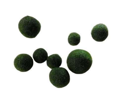 QSHLHP-948 hot sale artificial green marimo moss ceiling ball for indoor decor