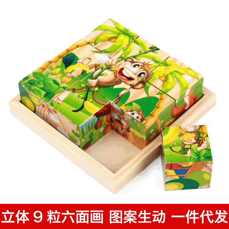 9 six-sided puzzle blocks Children's early education 3d wooden puzzles