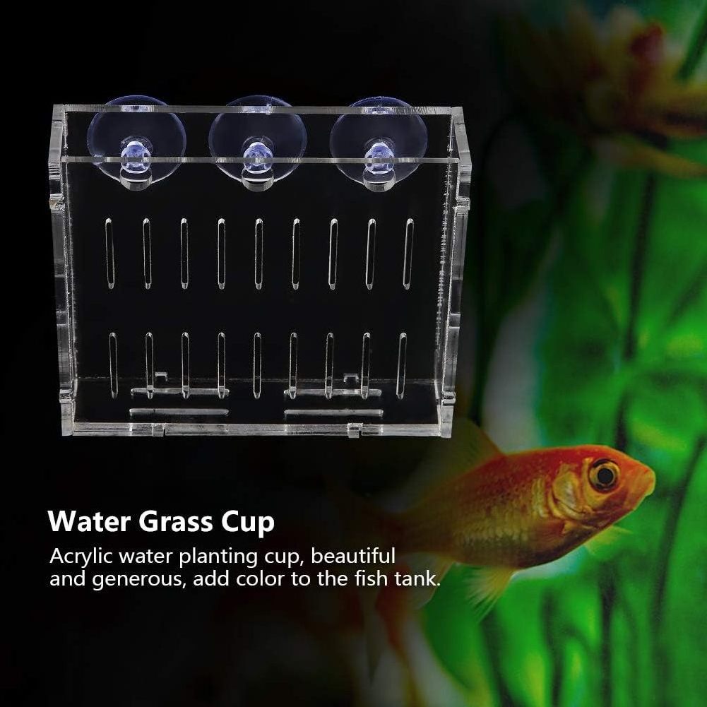 Fish Tank Water Plants Planter Aquarium Plant Water Grass Cup Landscape Plants Cultivation Basin Cup with Suction Cups