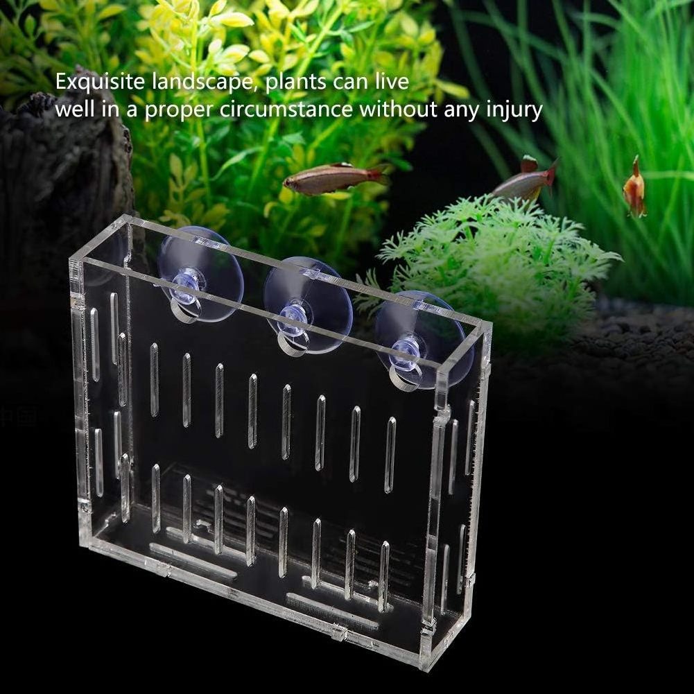 Fish Tank Water Plants Planter Aquarium Plant Water Grass Cup Landscape Plants Cultivation Basin Cup with Suction Cups