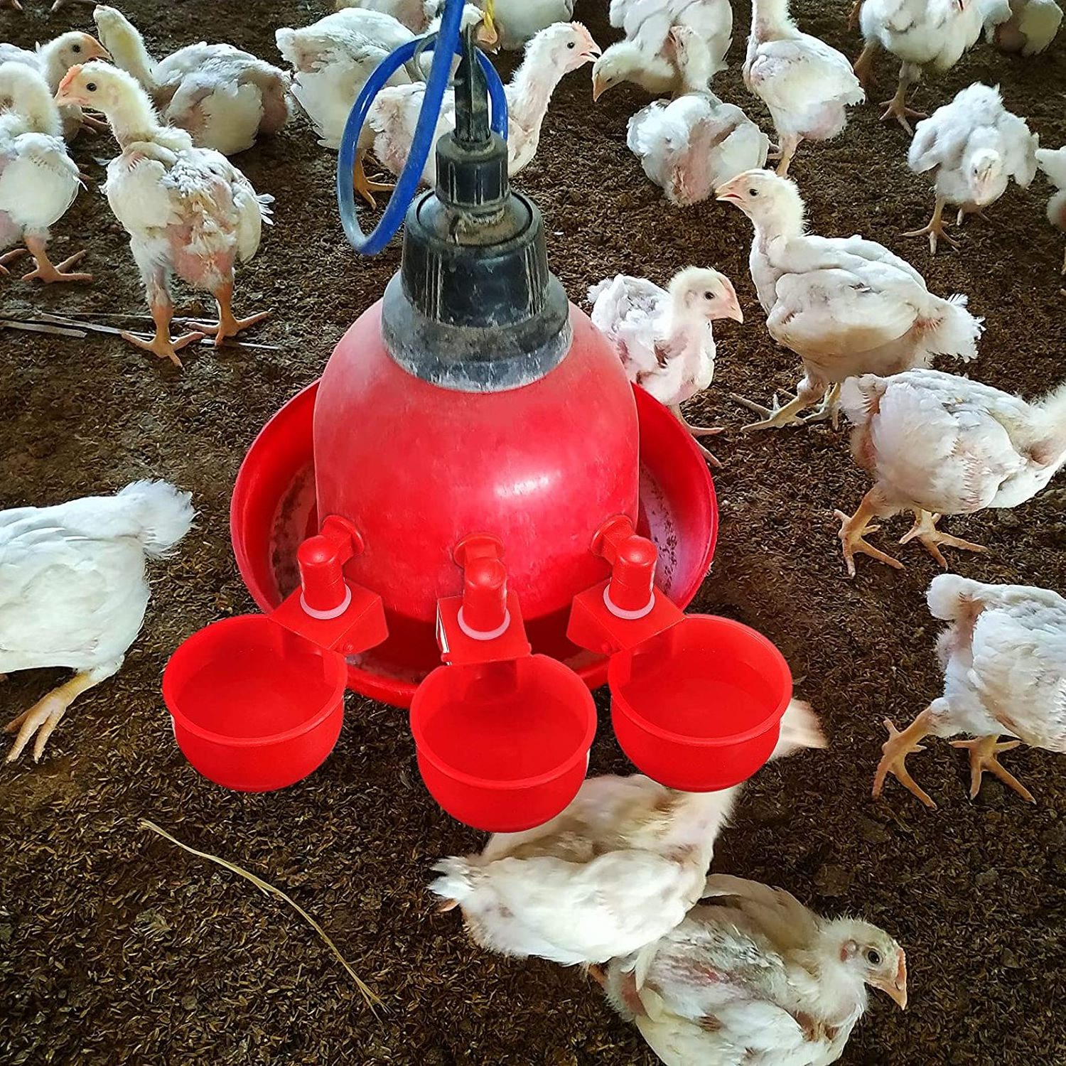 Automatic Chicken Water Cup Waterer Bowl Kit Farm Coop Poultry Waterer Drinking Water Feeder for Chicks Duck Goose Turkey Quail