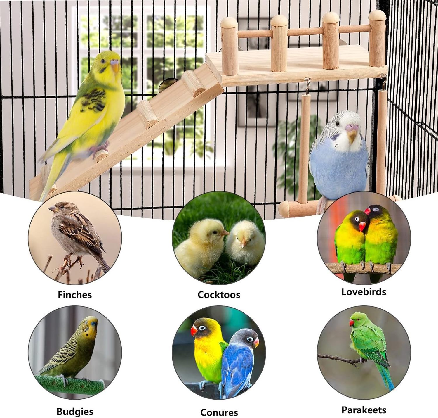 Bird Perches Platform Swing with Climbing Ladder, Parakeet Cage Accessories Wooden Playing Gyms Exercise Sturdy for Small Birds